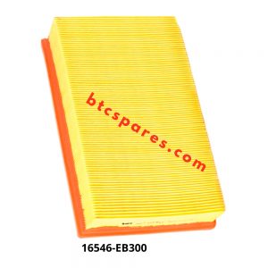 Air Filter 16546-EB300
