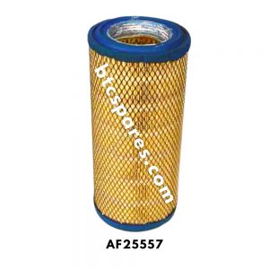 Air Filter AF25557
